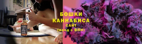 стаф Кулебаки