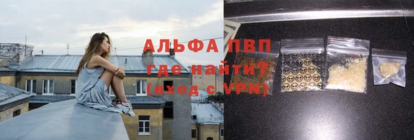 стаф Кулебаки