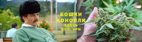 сатива Красноперекопск