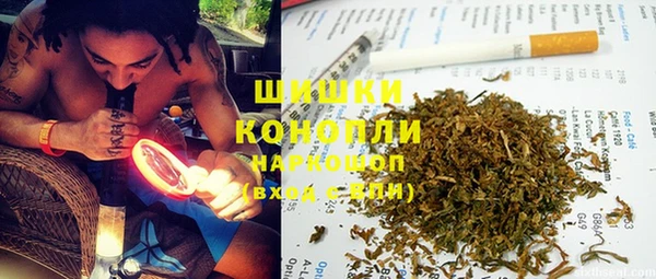 стаф Кулебаки