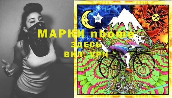 стаф Кулебаки