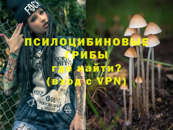 стаф Кулебаки