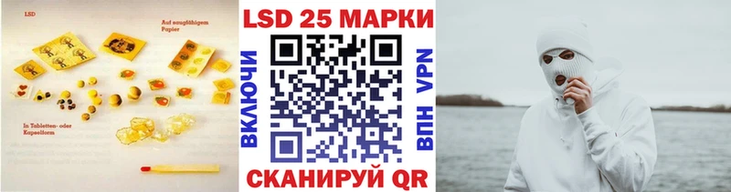 Купить закладки  Гдов  LSD-25 экстази ecstasy 