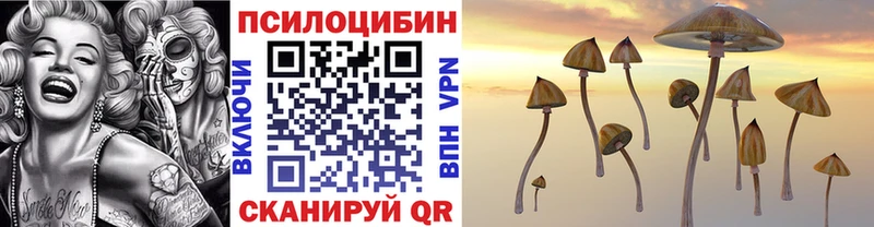 Галлюциногенные грибы MAGIC MUSHROOMS  Купить где  Гдов 