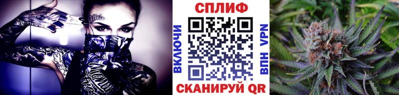 Купить закладки  Гдов  Конопля сатива 